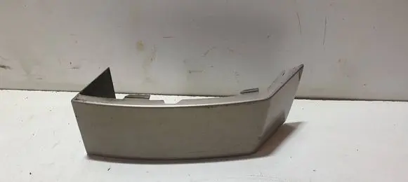 Rear/tail light trim molding