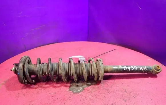 Honda Accord Rear shock absorber with coil spring 