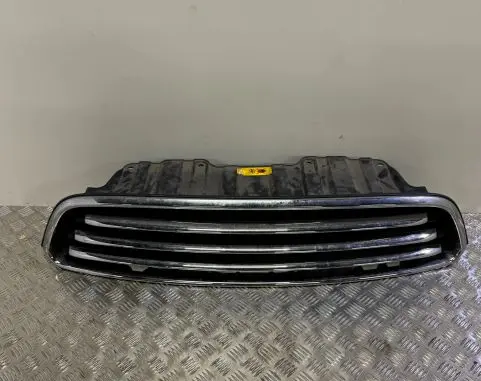 Mini Cooper Countryman R60 Front bumper upper radiator grill 22405910