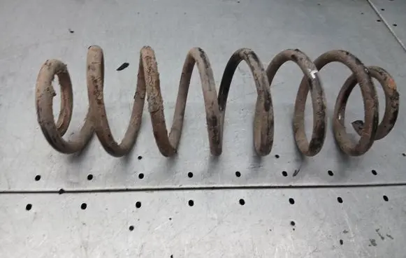 Rear coil spring