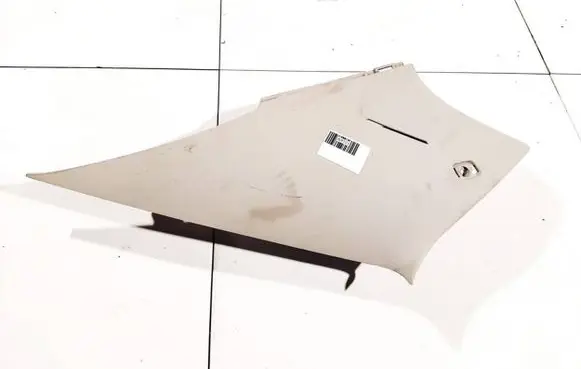 Chrysler 300 - 300C Other interior part m44bd1ad 110jnj216rd