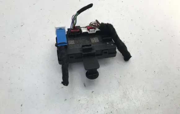 Cupra Born Door control unit/module 1EA959593D