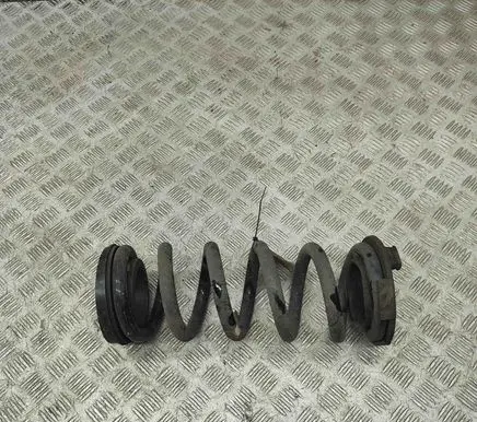 Fisker Ocean Rear coil spring FM2920200474A
