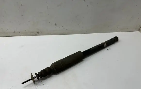 Dacia Spring Rear shock absorber/damper 562103041R