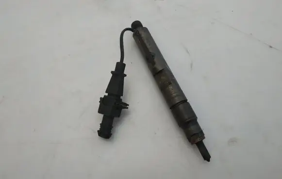 Renault Scenic I Fuel injector 58P146200