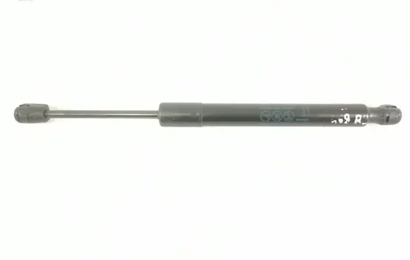 Chevrolet Corvette C7 Tailgate strut 22772879 298755