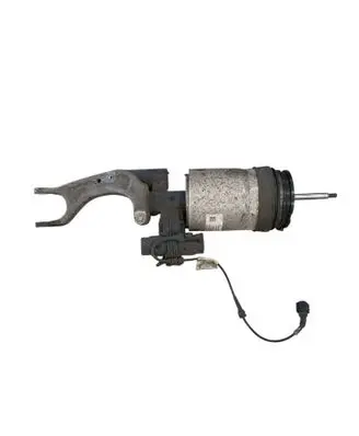 Tesla Model S Front shock absorber/damper 106636600D