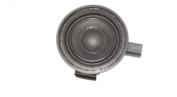 Nissan Juke II F16 Panel speaker 284P36PA0A