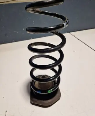 Rear coil spring