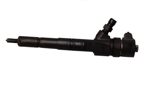 Citroen Berlingo Fuel injector 0445110243