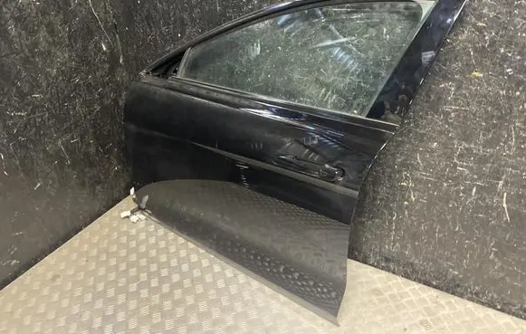 BYD Seal Front door 