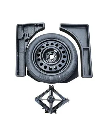 Ford Bronco R17 spare wheel M1BS310B17A