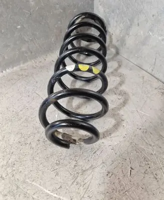 Rear coil spring