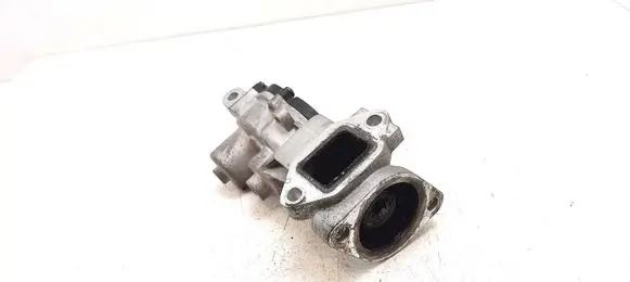 Chevrolet Cruze EGR valve 55581958