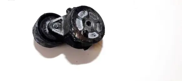 Peugeot Partner Generator/alternator belt tensioner