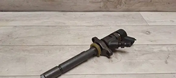 Volvo V50 Fuel injector 0445110259 328480
