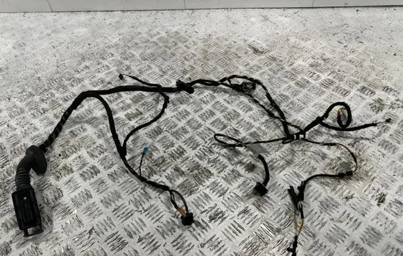BMW 3 F30 F35 F31 Front door wiring loom 19344411 WEGBA 9313623