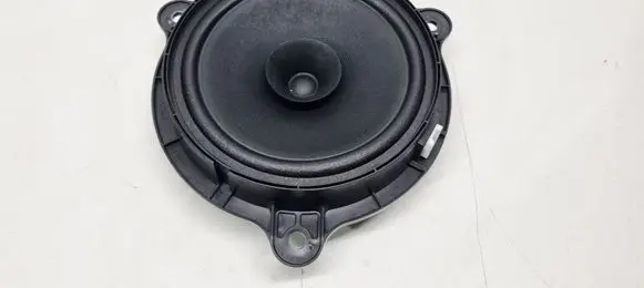 Rear door speaker