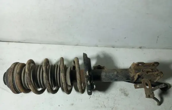 Opel Zafira B Front shock absorber/damper 24466546 22214012 644609745