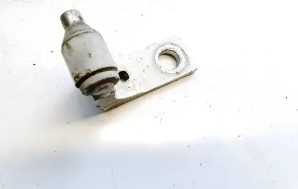Fiat Punto (199) Rear door lower hinge