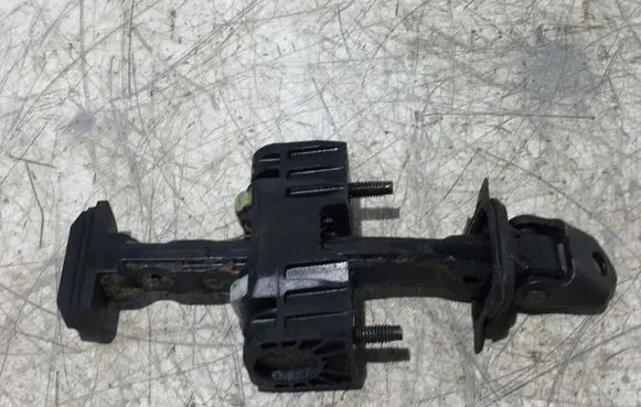 Peugeot Expert Front door check strap stopper 10000057539