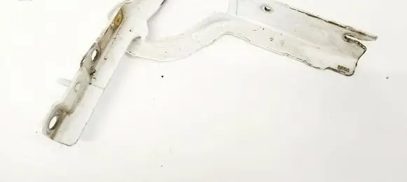 Fiat Scudo Engine bonnet/hood hinges