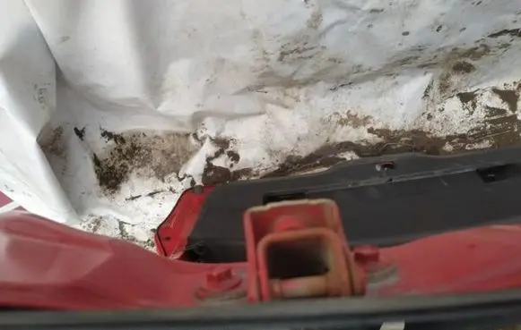 Honda Civic IX Tailgate/trunk/boot hinge