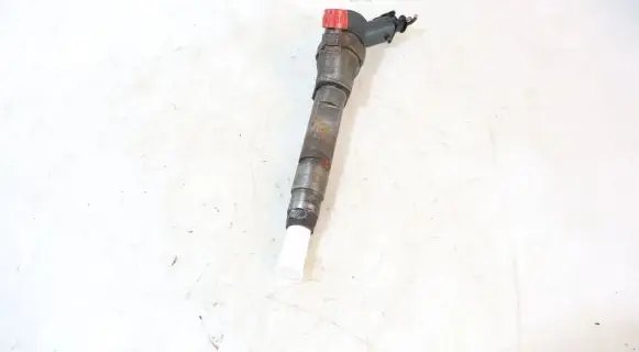 Renault Megane II Fuel injector