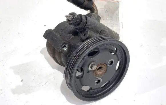 Renault Thalia II Power steering pump 491102028R