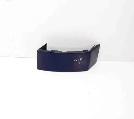 Rear/tail light trim molding