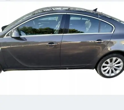 Opel Insignia A Front door
