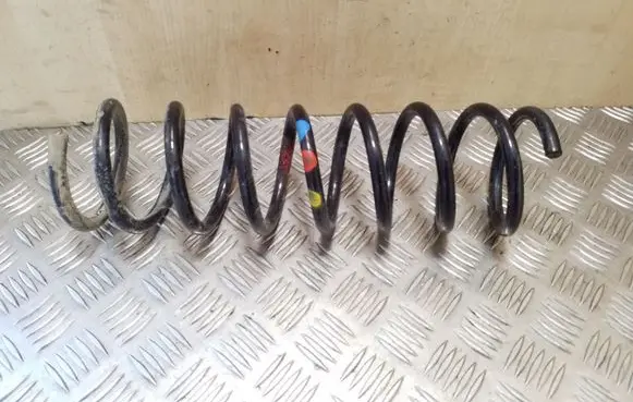 Rear coil spring