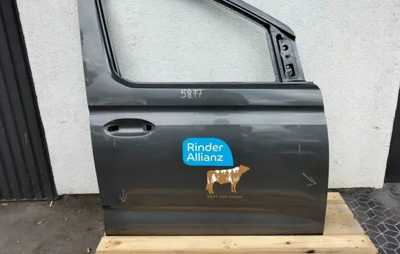 Volkswagen Caddy Front door