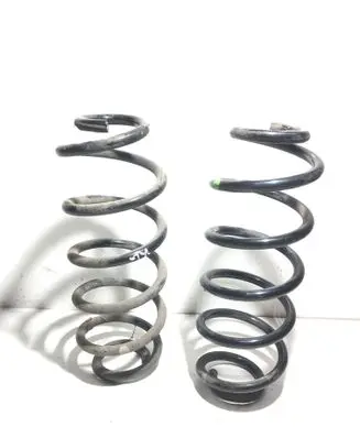 Rear coil spring