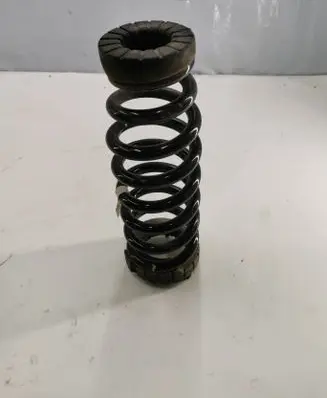 Hyundai Ioniq 5 Rear coil spring 55330GI210
