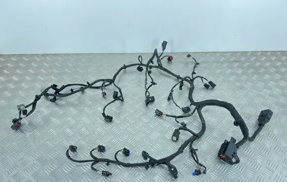 MG EHS Engine installation wiring loom 