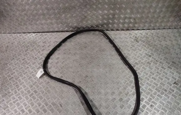 Rear door rubber seal (on body)