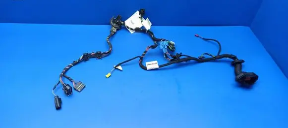 Mercedes-Benz S W221 Rear door wiring loom 2215409209 DB4M169122 2215408809