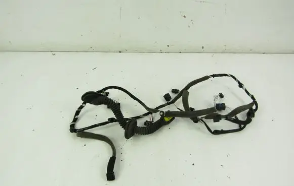 Renault Laguna III Front door wiring loom 