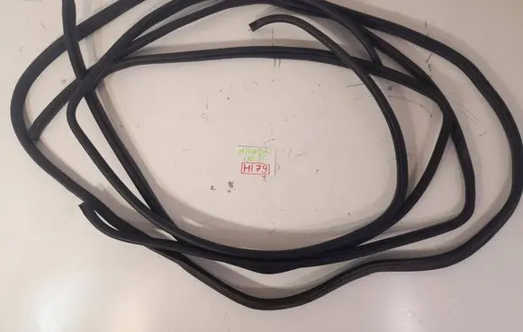 Hyundai i10 Front door rubber seal 000066