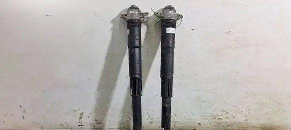 Rear shock absorber/damper