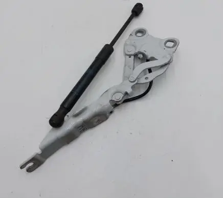 Mini Paceman (R61) Engine bonnet/hood hinges 9801570