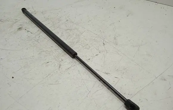 Citroen C4 I Picasso Tailgate strut 19SGE004