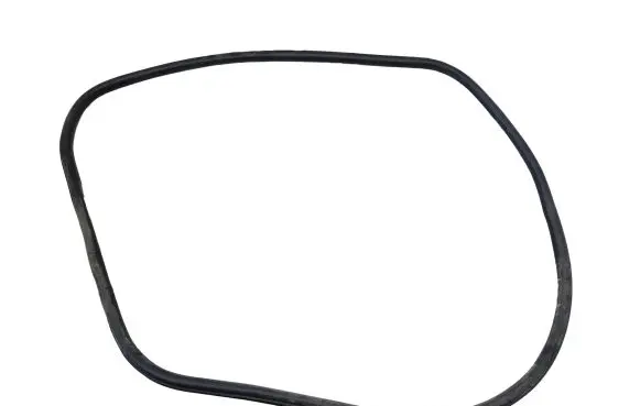 Ford Edge II Front door rubber seal