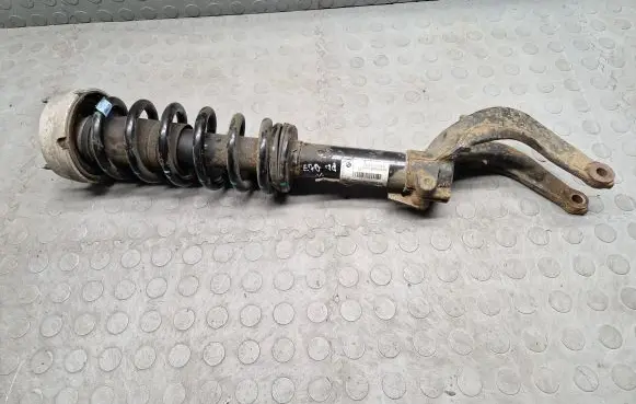 BMW X5 E70 Front shock absorber/damper 6781920