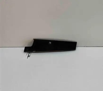 Renault Austral Front door glass trim molding 802849168R