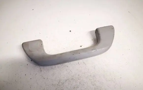 Front interior roof grab handle
