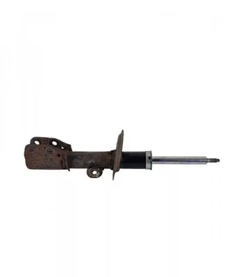 Opel Antara Front shock absorber/damper 