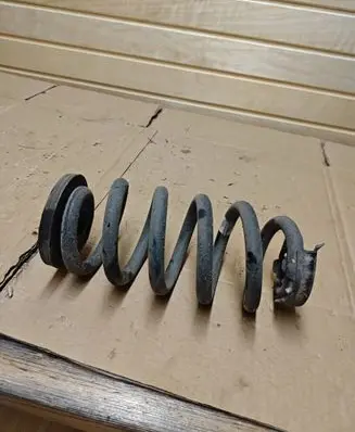 Cupra Born Rear coil spring 1EA512149