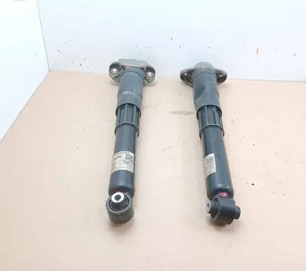 Volkswagen ID.4 Rear shock absorber/damper 1EA512013BD